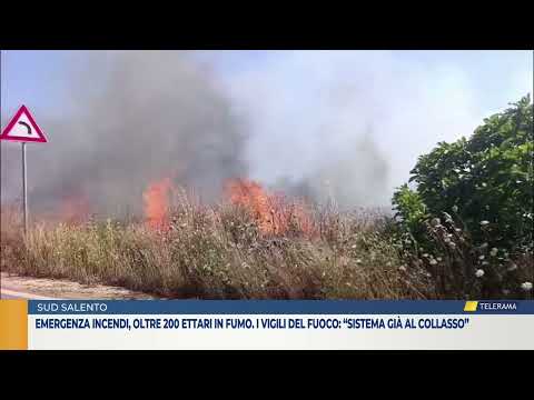 Emergenza incendi, oltre 200 ettari in fumo. I vigili del fuoco: “Sistema già al collasso”