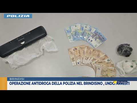 Droga, maxi operazione polizia, undici arresti