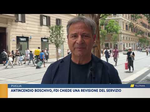 Antincendio boschivo, FdI chiede una revisione del servizio