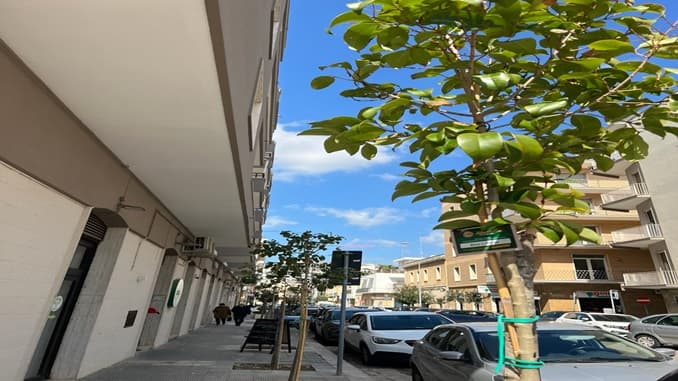 Dieci nuovi alberi per dare respiro al quartiere san Lazzaro