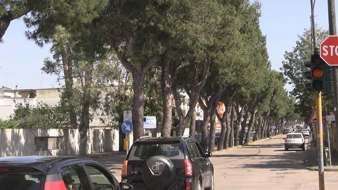 Il semaforo non funziona da oltre un mese, e l'incrocio diventa un pericolo