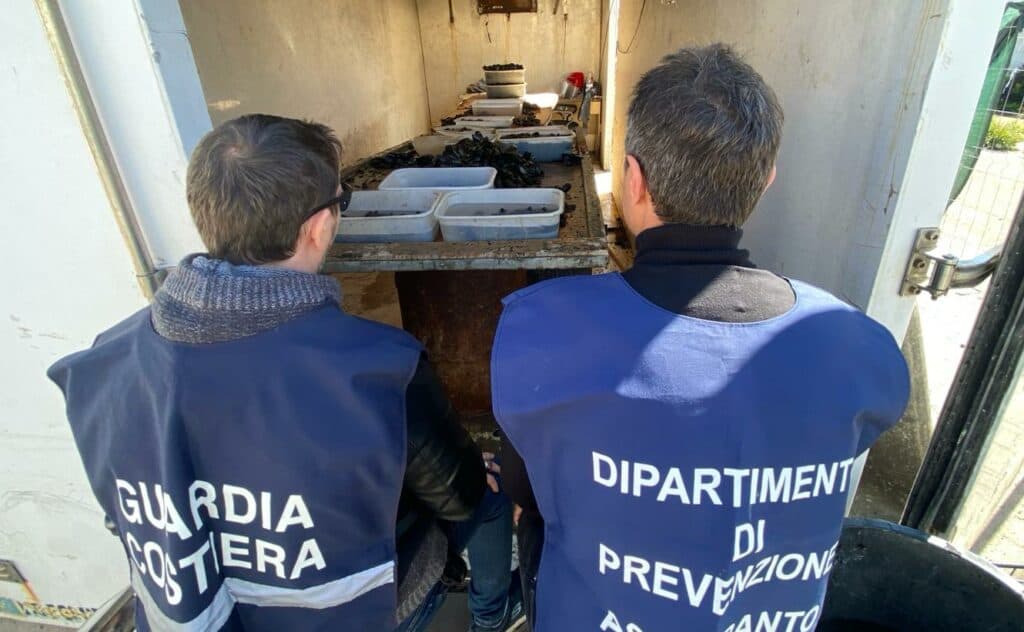 Guardia Costiera: sequestrati 200 kg di cozze, 350 ricci di mare e 25 kg di novellame