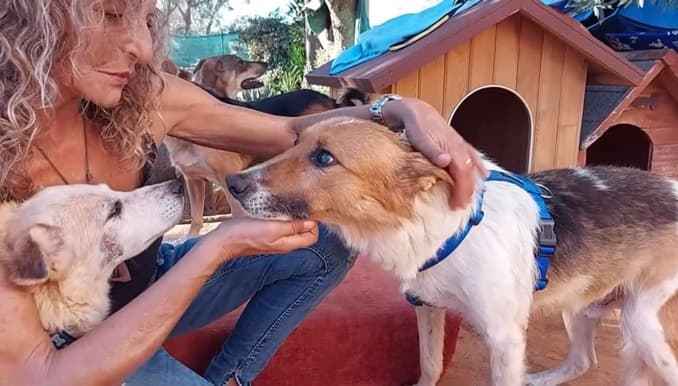 Comunità in lutto per la scomparsa dell'animalista Silvia Pontrelli