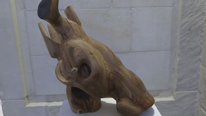 Legge sul legno d'ulivo, ora serve un'attuazione. Il dibattito in un convegno