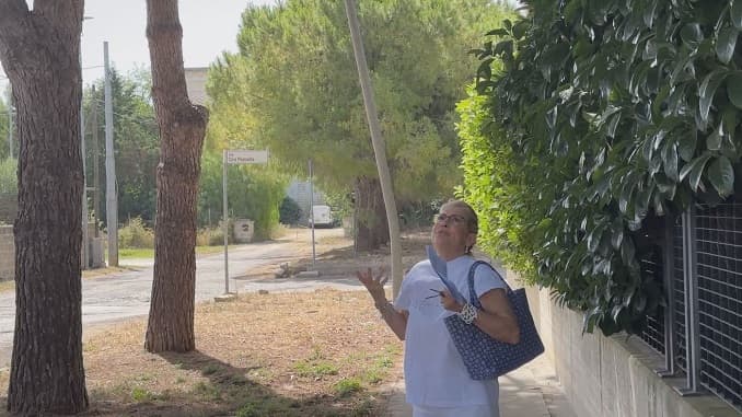 Alberi pericolanti, i residenti di via Manzù lanciano un Sos