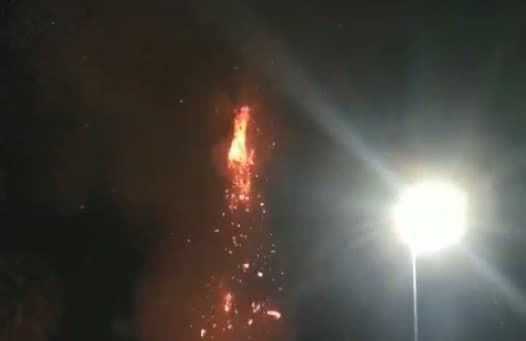 Fulmine colpisce una palma e scoppia l'incendio