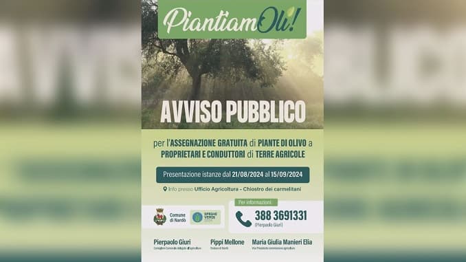 “Piantiamoli!”, iniziativa per rigenerare il territorio con gli ulivi