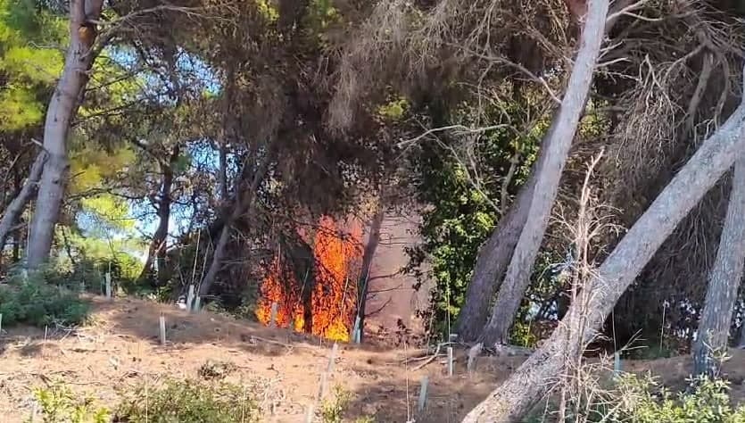 Brucia il Salento, al lavoro anche vigili del fuoco da fuori Regione