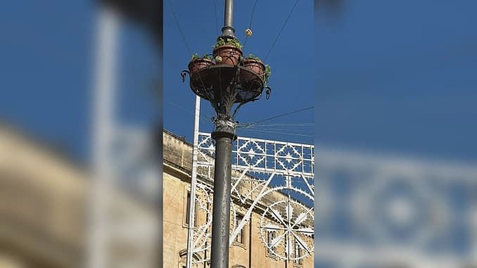 Nelle fioriere del centro storico cittadino messe a dimora oltre novanta piante