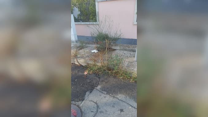 Marciapiedi rotti, erba alta ed incuria: la denuncia a dilloatelerama