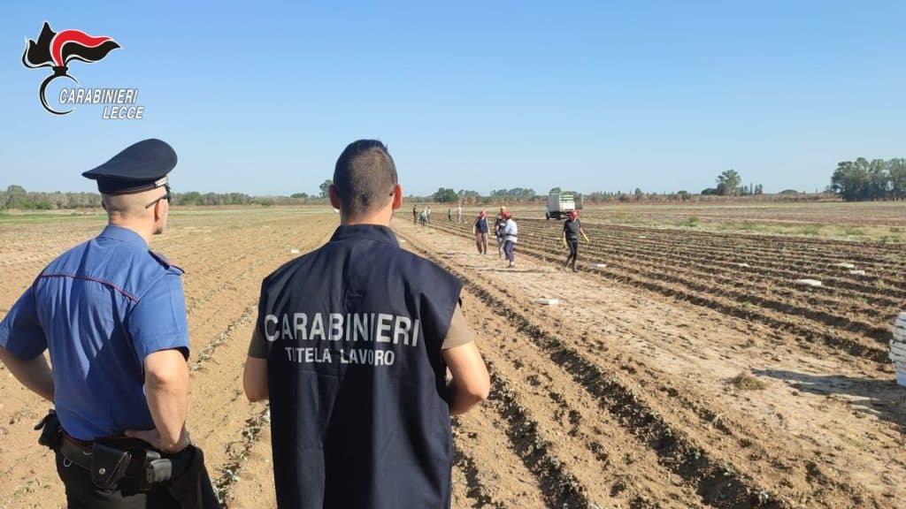 Blitz in azienda agricola: scoperti 53 falsi braccianti e truffa da 150mila euro