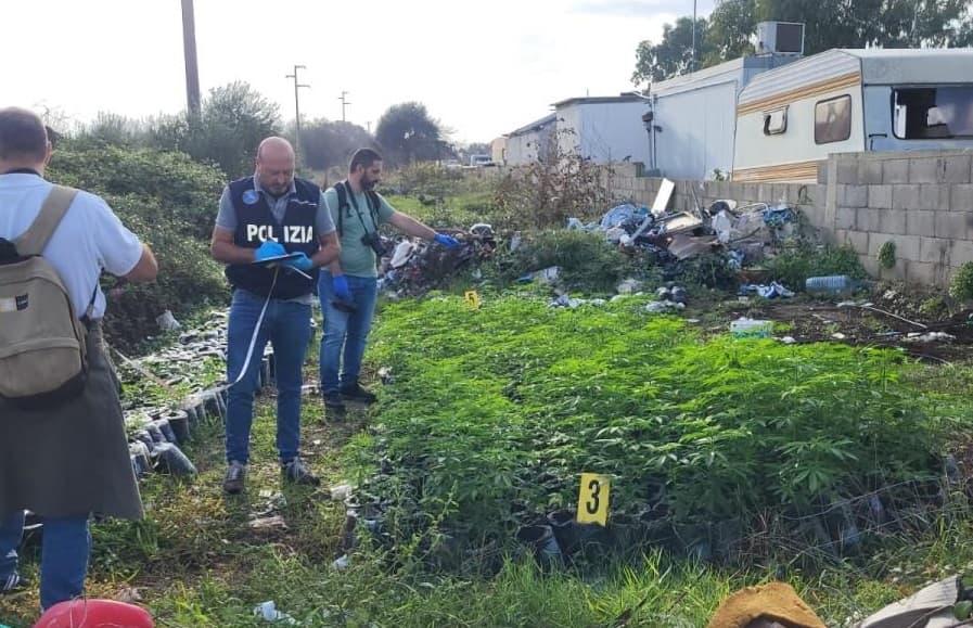 Blitz al Campo Panareo, sequestrate intere piantagioni di marijuana