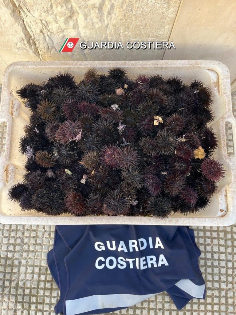 Nonostante il fermo, trovato pescatore con 450 ricci