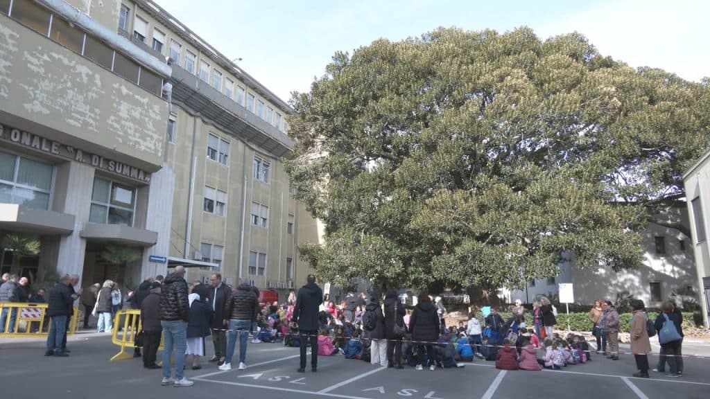 La Giornata dell'Albero a Brindisi: una festa per i bambini