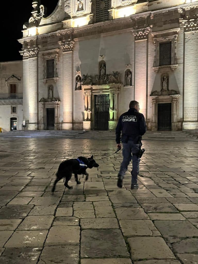 Controlli Interforze: arrestati due giovani a Taurisano