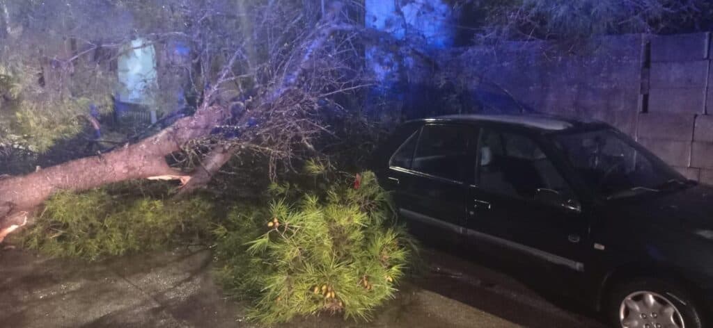 Maltempo nel Salento: alberi caduti, danni e un incidente sulla litoranea