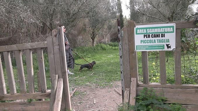 Parco Belloluogo, l'area cani sempre più impraticabile e pericolosa