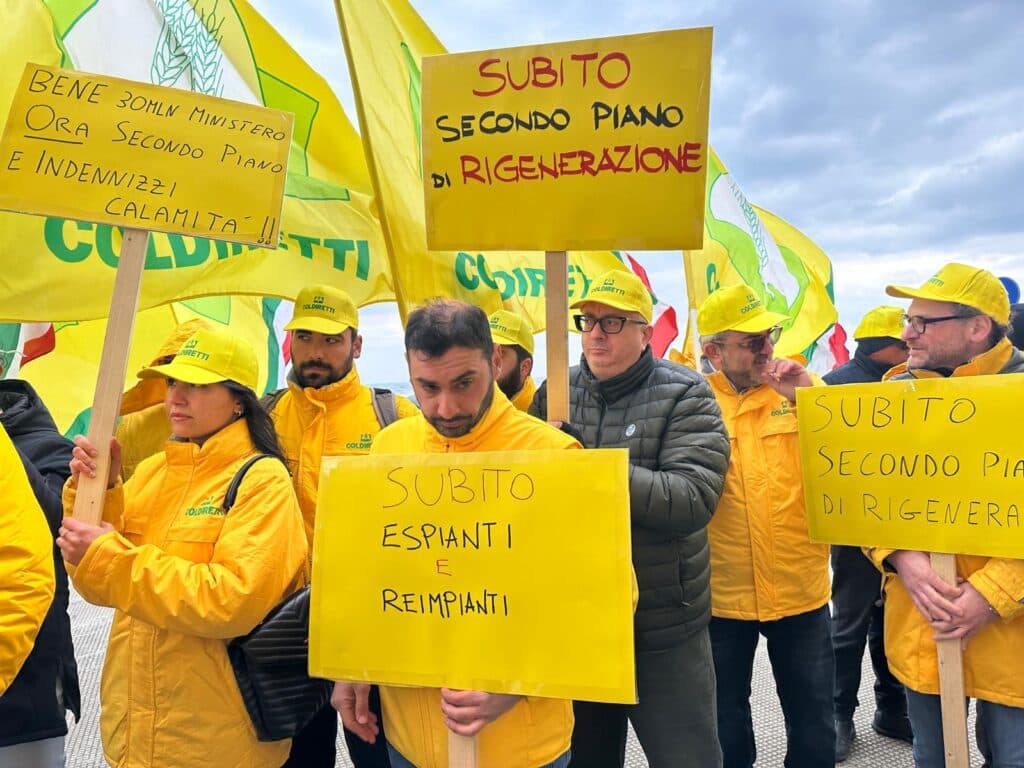 Disastro Xylella, manifestazione olivicoltori a Bari: “Fate presto!”