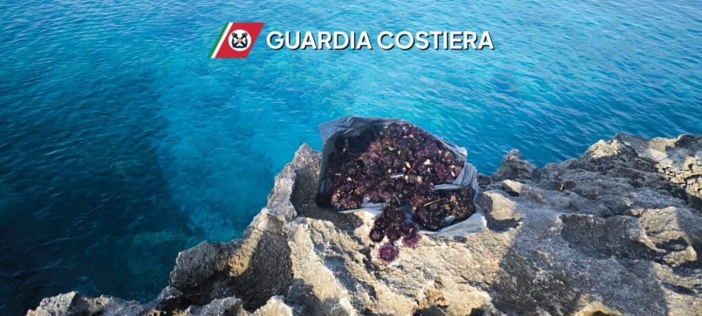 Salento, sequestri e sanzioni contro la pesca illegale