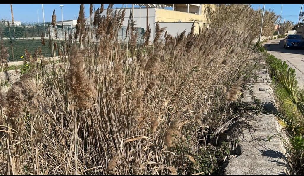 Torre Chianca, mancata pulizia dei canali: i residenti hanno timore di rivivere l'incubo del 13 gennaio