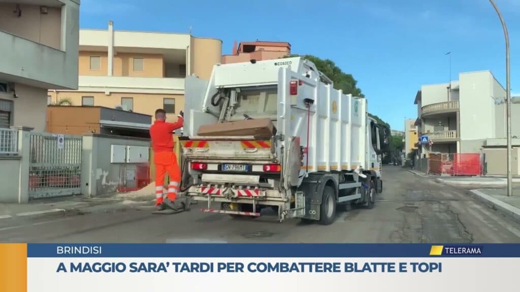 Brindisi - A maggio sarà tardi per lottare contro blatte e topi