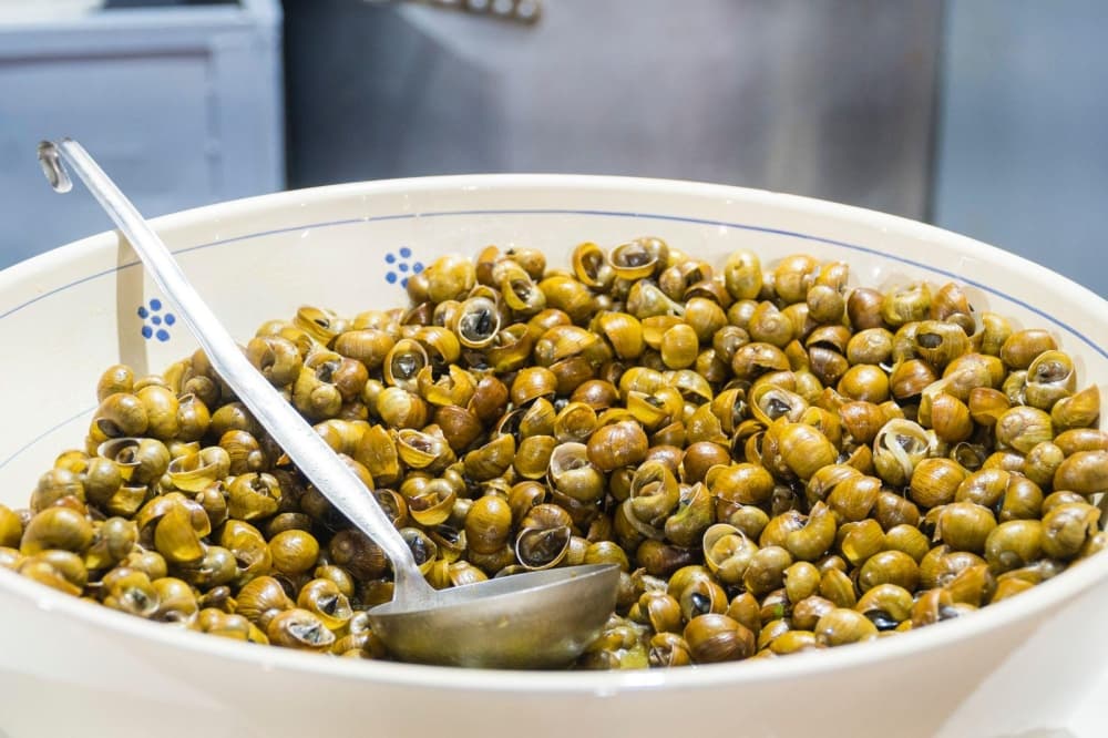 La "Festa della Municeddha" di Cannole premiata con il marchio "Sagra di qualità"