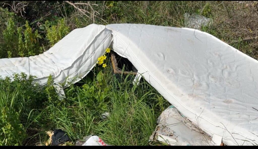 Via Vecchia Carmiano, la campagna leccese deturpata dai rifiuti