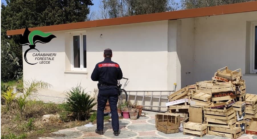 Galatina, scoperte tre costruzioni abusive in zona vincolata: denunciato 41enne
