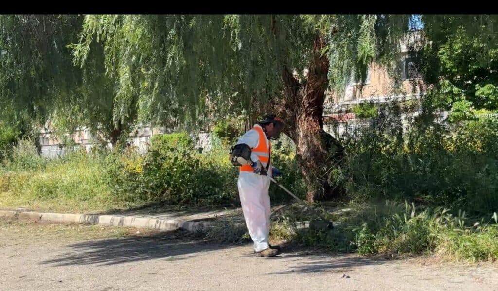 Merine, giungla urbana in via Morvillo: operai al lavoro per far risplendere questa strada