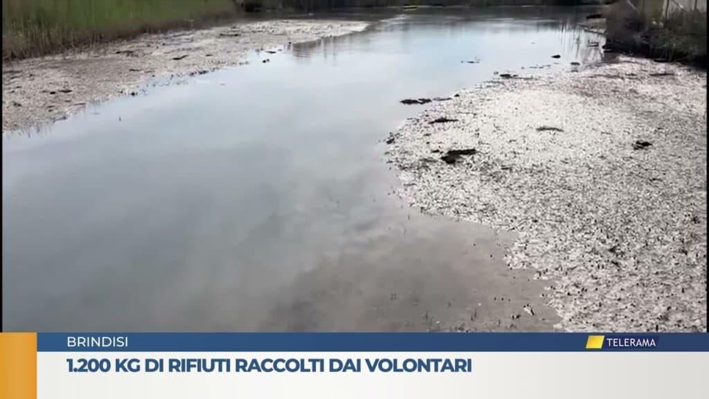 A Fasano 1.200 Kg di rifiuti raccolti dai volontari
