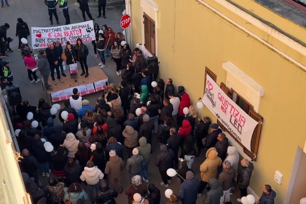 “Giustizia per Leo”: cittadini e animalisti si mobilitano per il barboncino ucciso a Presicce