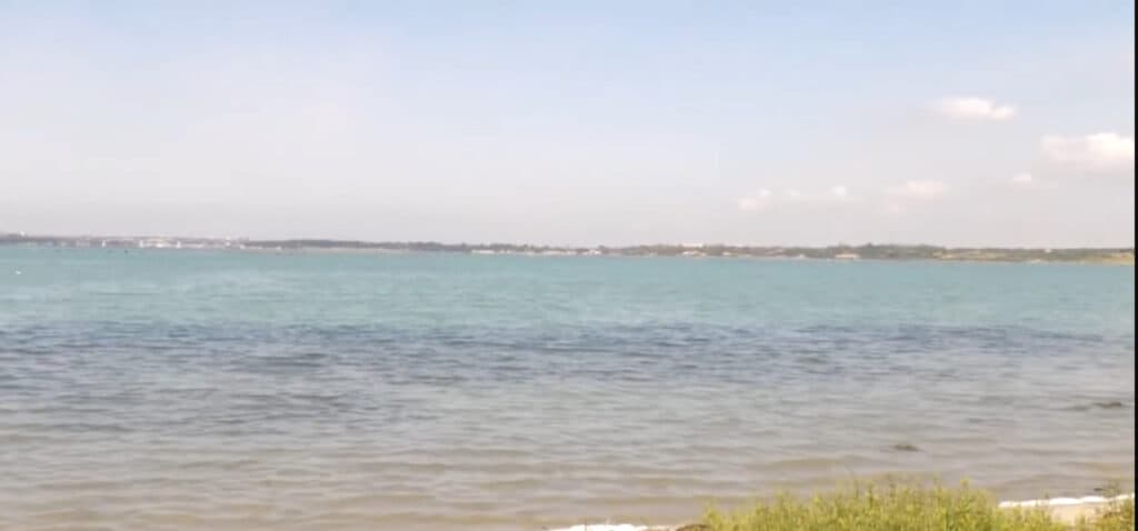Taranto. Mar piccolo: biodiversità vincente