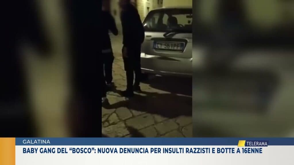 Baby gang del “bosco”: nuova denuncia per insulti razzisti e botte a 16enne