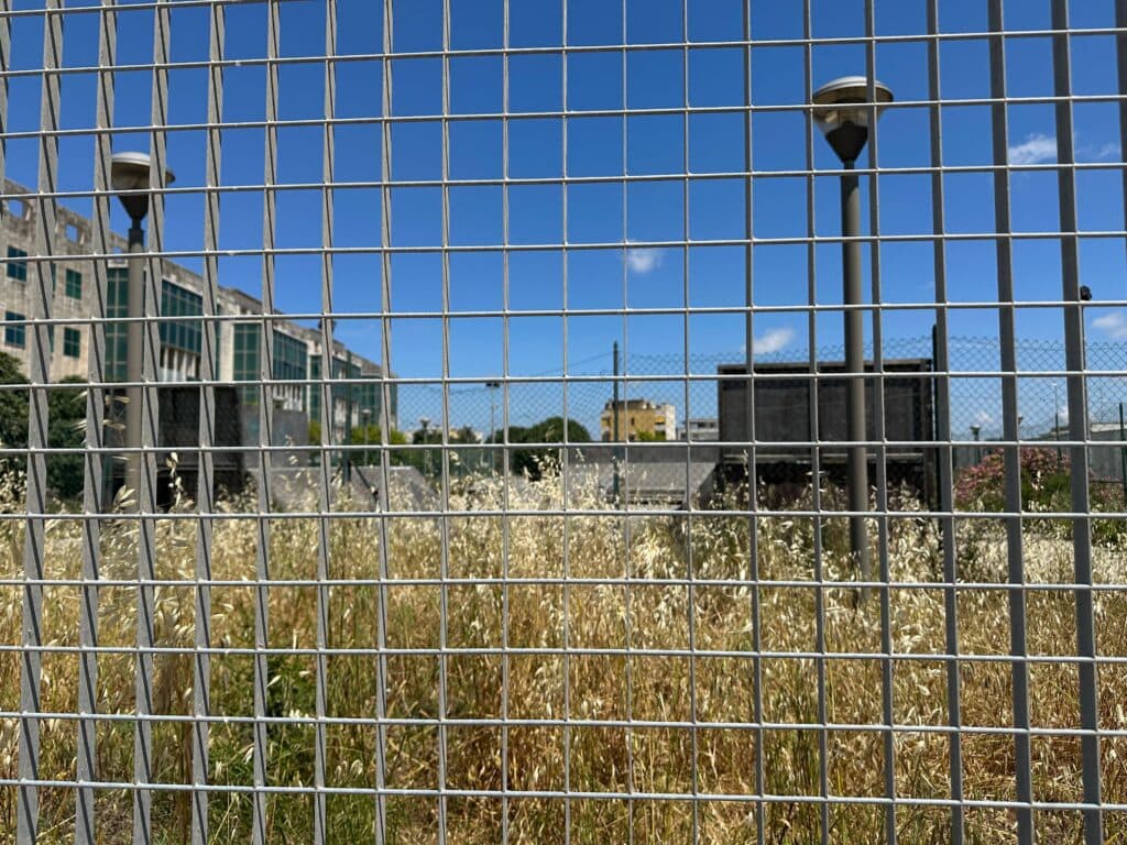 Skate park, una jungla urbana nel degrado più assoluto