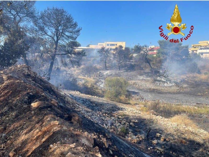 Nelle ultime 24 ore, vigili del fuoco impegnati in 83 interventi