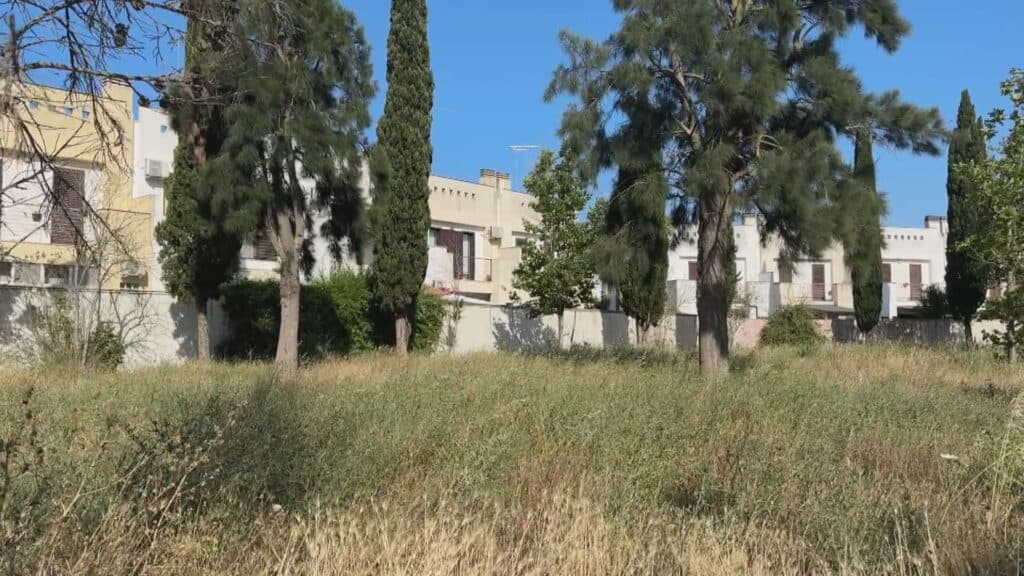 Agave, tra incuria e degrado. Il Comune in pressing verso la ditta costruttrice