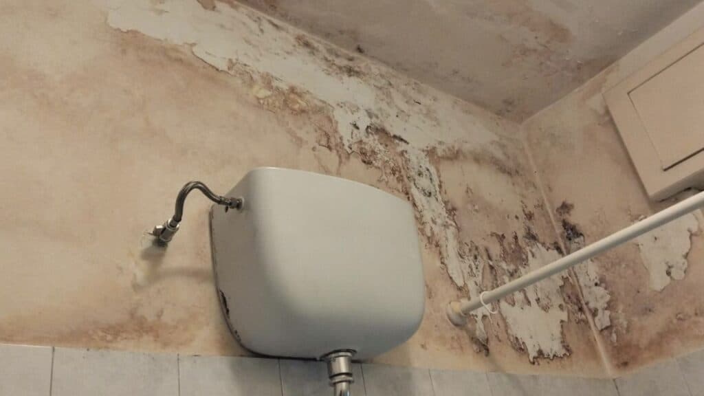 Balconi cadenti e sporcizia, l'appello disperato dei residenti di via Respichi