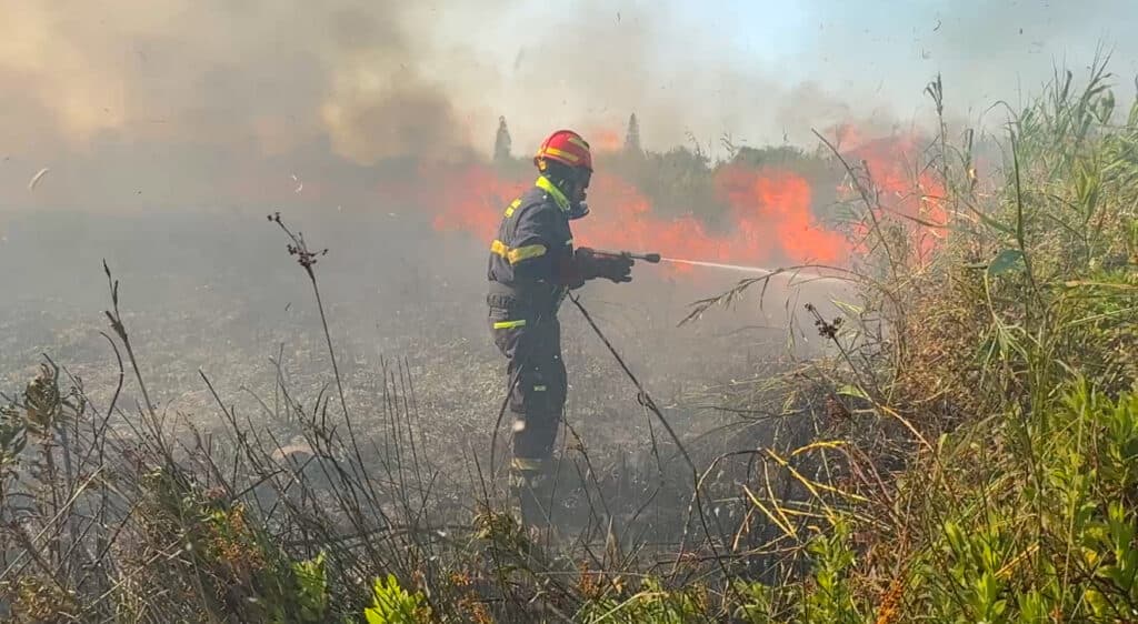Sabato di fuoco: bruciano cento ettari tra Torre Pali e Torre Chianca. Case evacuate