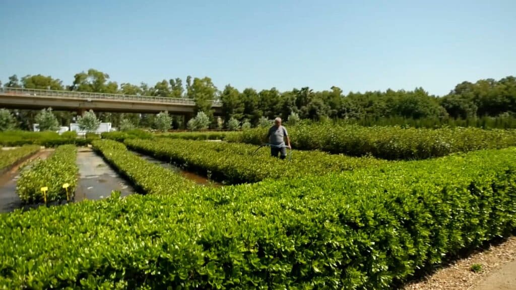 Taranto. Asl e Arif promuovono la riabilitazione ecologica