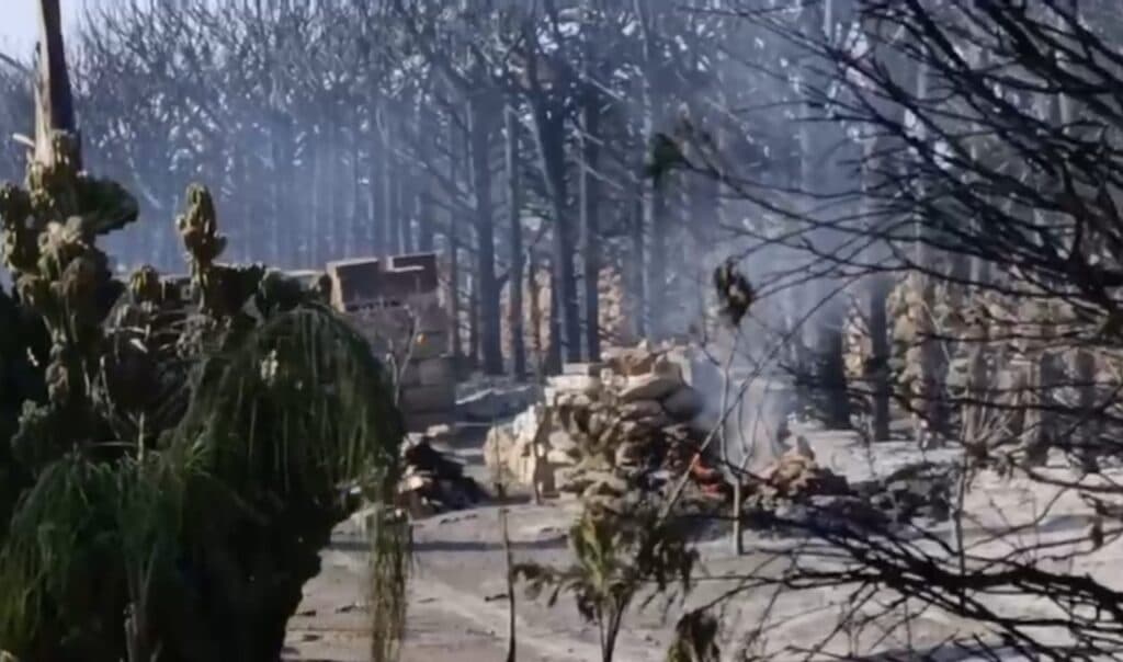 Scorrano, incendio sulla S.S. 275 arriva a lambire case private. In fumo un giardino