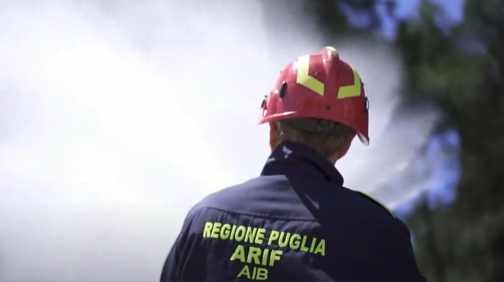 Arif, la legge blocca la nomina del dg. La Regione lo proroga ed è polemica
