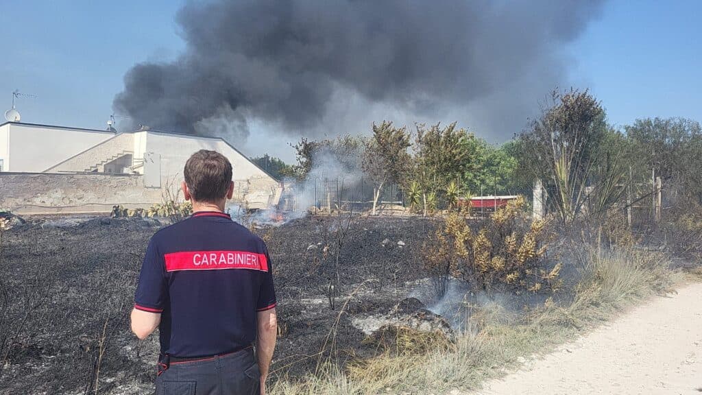 Punta Prosciutto, in fiamme due ettari di macchia mediterranea