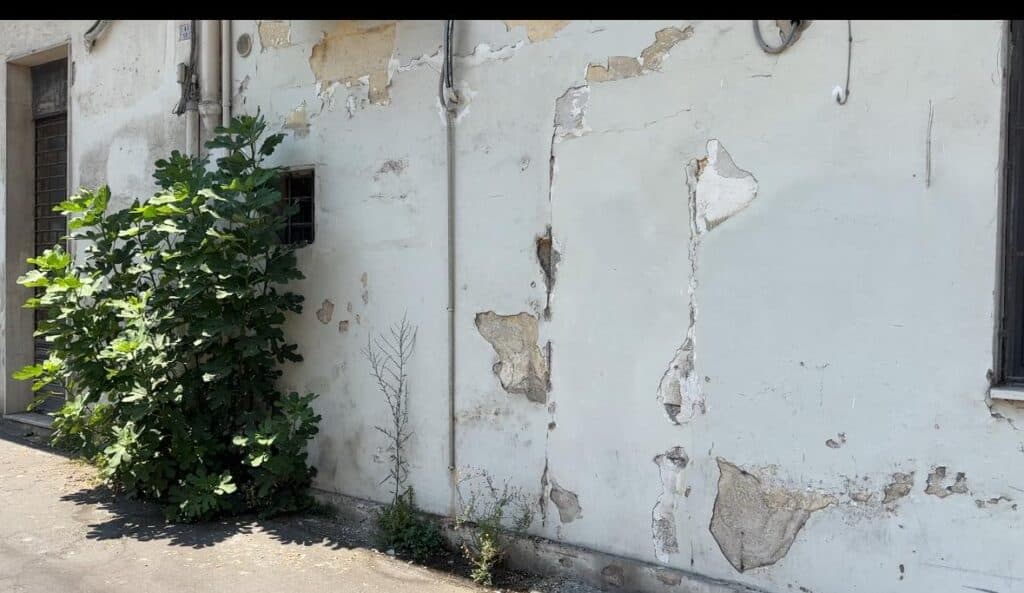 Corte Maternità e Infanzia invasa dalle erbacce. La protesta dei residenti