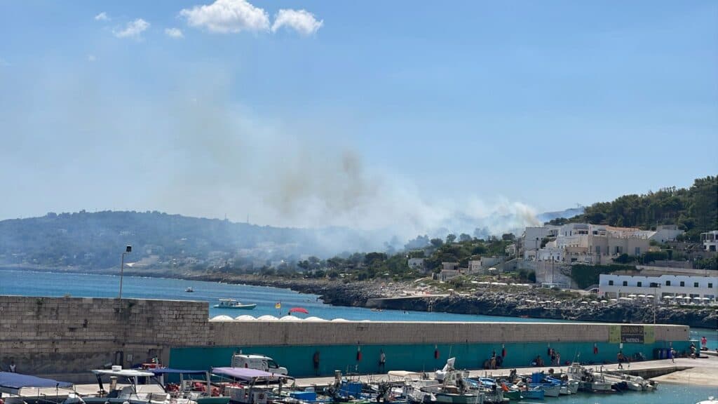Castro minacciata da un vasto incendio. In azione anche un canadair