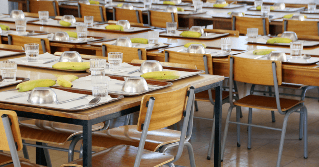 Mense scolastiche e presunto olio contraffatto, rinviata a giudizio "La Fenice"
