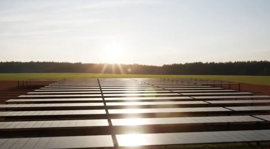 FdI Salice Salentino: “No al mega impianto agrovoltaico”