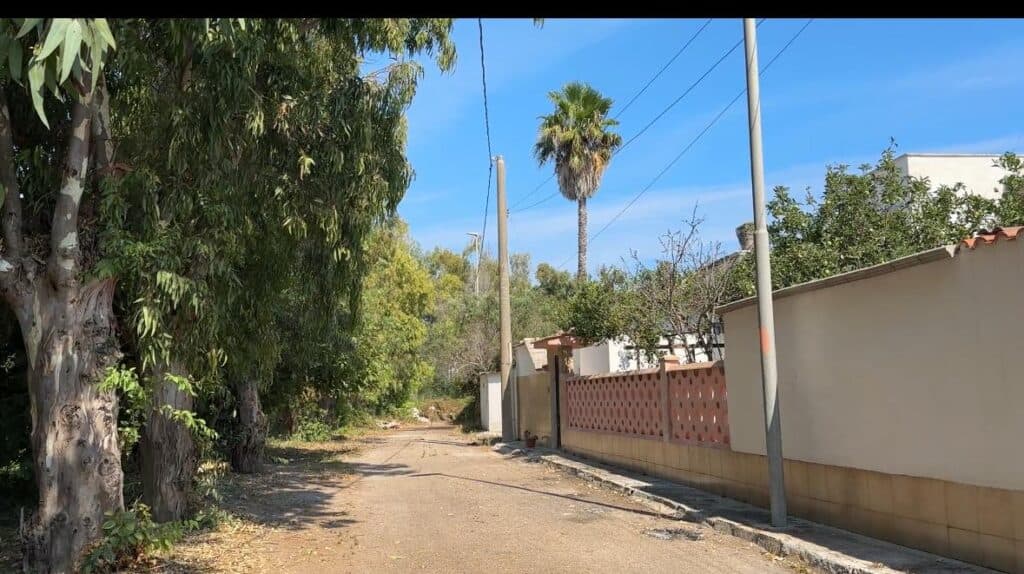 Grossi alberi a pochi metri da casa, i residenti: "Abbiamo paura"