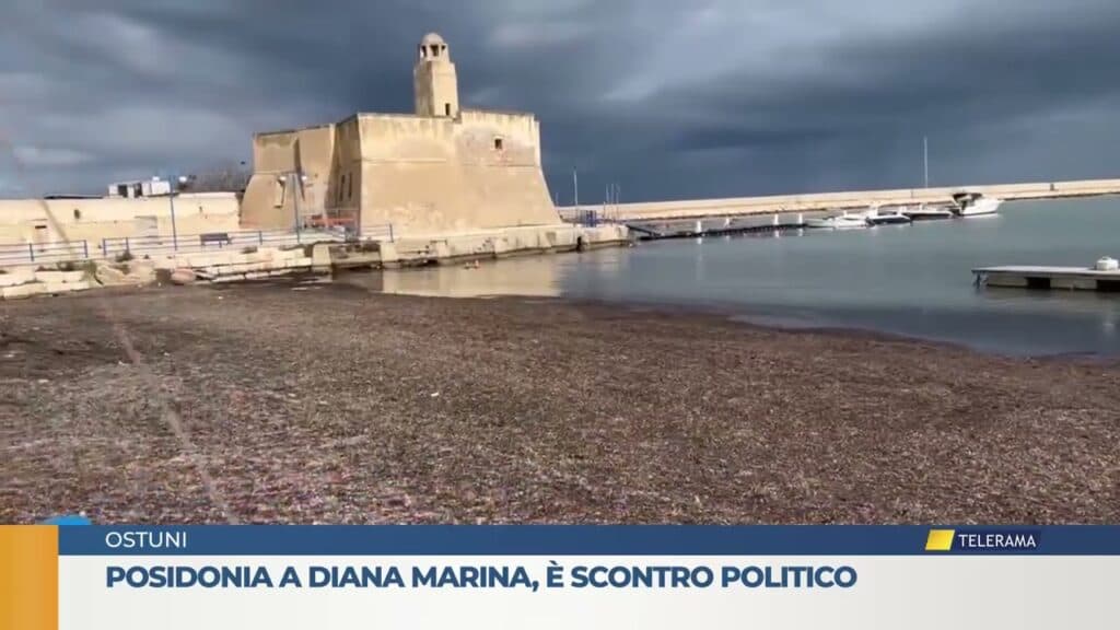 Posidonia a Diana Marina, è scontro politico