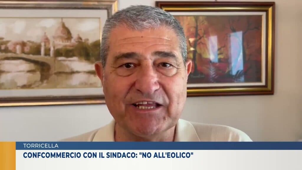 "No" all'eolico tra i vigneti: Confcommercio Taranto solidale con Turco