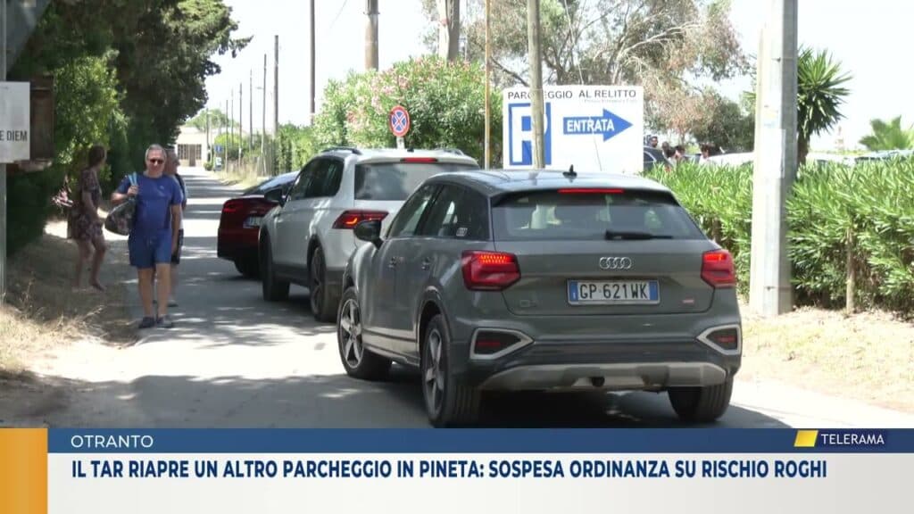 Il Tar riapre un altro parcheggio in pineta: sospesa ordinanza su rischio roghi